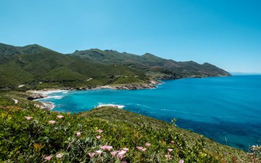 Plage d 'Aliso ve turkuaz Akdeniz, Korsika' daki Kaptan Corse 'un batı kıyısında.