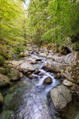 Su, L 'Agnone nehrinden akarak gür ormanlara ve Akdeniz' in Korsika adası Vizzavona 'daki GR20 patikalarına akar.