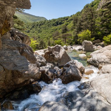 Su, L 'Agnone nehrinden aşağıya, ormana ve Akdeniz' in Korsika adası Vizzavona 'daki GR20 patikasına dökülür.