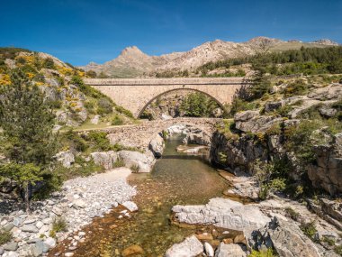 Ponte Altu köprüsü, Akdeniz 'in Akdeniz adası Korsika' da bulunan Albertacce 'deki antik bir genoise köprüsünün yanında yer alıyor.