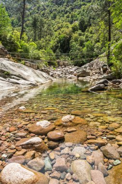 Akdeniz 'in Korsika adasının Balagne bölgesindeki Bonifatu Oin' deki Figarella Nehri 'nin temiz havuz ve kayalarını geçen çelik halat köprüsü.