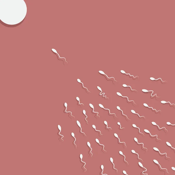 Sperma Von Vektorspermatozoen Das Zum Eierstock Schwimmt — Stockvektor