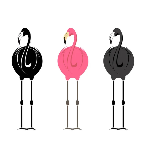 Flamingo Silhuett Tatuering Isolerad Vitt Vektor Illustration — Stock vektor