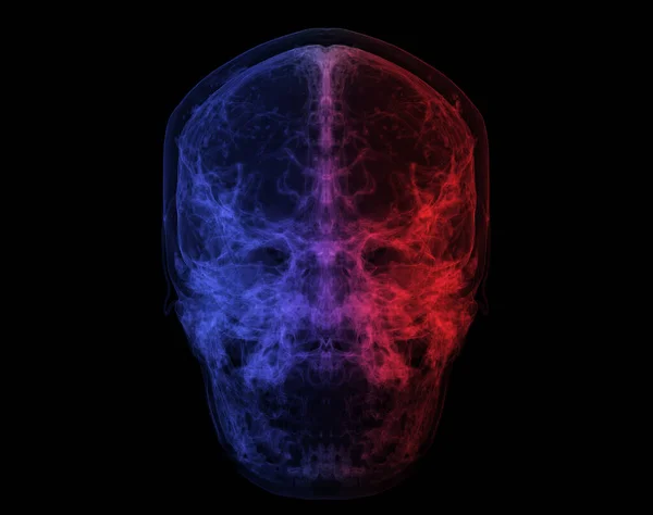 Ludzka Czaszka Tomografia Mózgu Wizualizacja Rentgenowska Wewnątrz Czaszki Ilustracja Render — Zdjęcie stockowe