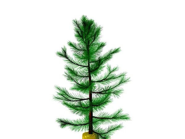 Árvore Natal Árvore Pinho Pronto Para Decorar Isolado Fundo Branco — Fotografia de Stock