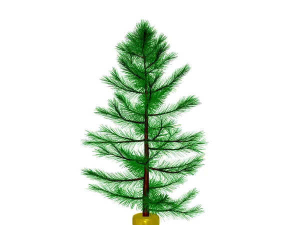 3D圣诞树或松树3D准备装饰 隔离在白色背景 剪切路径 — 图库照片