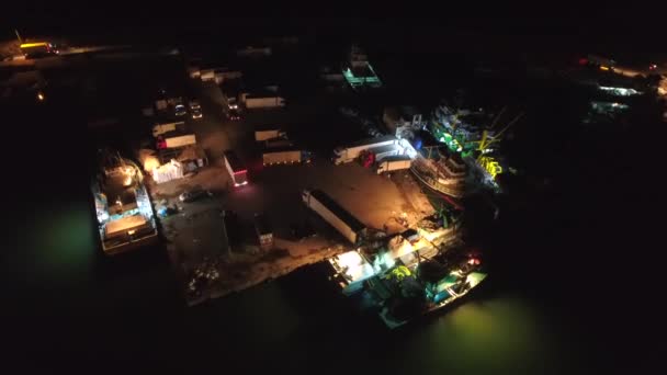 在港口 渔民在渔船的灯光下工作 理想的捕鱼业夜以继日的工作 工人流动港口港口港口停泊有鱼 空中航行 — 图库视频影像