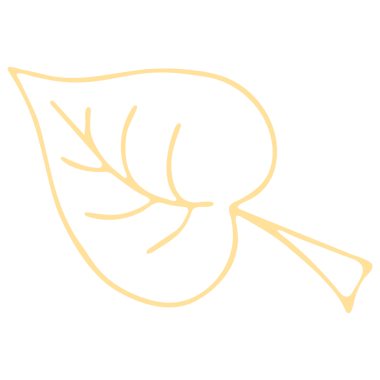 Şeffaf Arkaplanda Renkli Yaprak Resimleri. Çizgi Sanatı Biçiminde Yaprak Resmi.