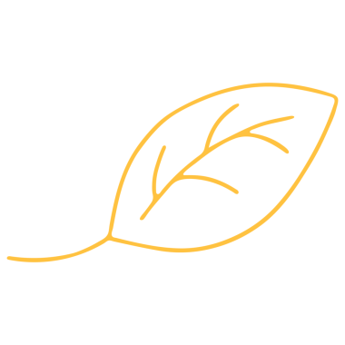 Şeffaf Arkaplanda Renkli Yaprak Resimleri. Çizgi Sanatı Biçiminde Yaprak Resmi.