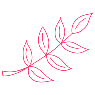 Şeffaf Arkaplanda Renkli Yaprak Resimleri. Çizgi Sanatı Biçiminde Yaprak Resmi.