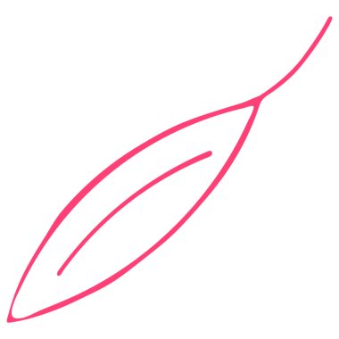 Şeffaf Arkaplanda Renkli Yaprak Resimleri. Çizgi Sanatı Biçiminde Yaprak Resmi.