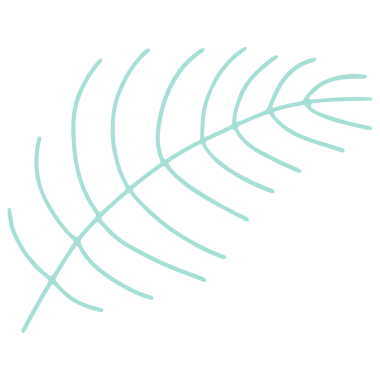 Şeffaf Arkaplanda Renkli Yaprak Resimleri. Çizgi Sanatı Biçiminde Yaprak Resmi.