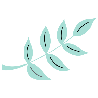 Şeffaf Arkaplanda Renkli Yaprak Resimleri. El Çizimi Yaprağı Şeffaf Arkaplanda İzole Edildi.