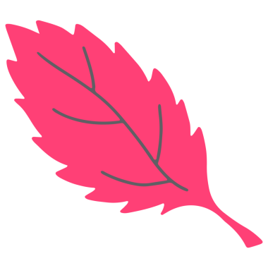 Şeffaf Arkaplanda Renkli Yaprak Resimleri. El Çizimi Yaprağı Şeffaf Arkaplanda İzole Edildi.