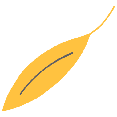 Şeffaf Arkaplanda Renkli Yaprak Resimleri. El Çizimi Yaprağı Şeffaf Arkaplanda İzole Edildi.