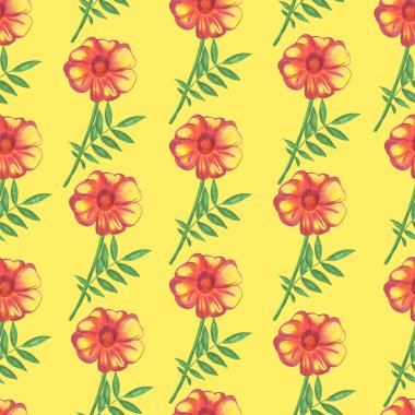 Marigold Çiçeği Kusursuz Şablon. El Çizimi Sarı Arkaplan Çiçek Sayısal Kağıdı.