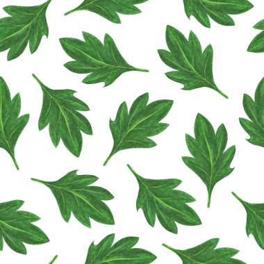 Kasımpatı Çiçeği Yapraksız Kalıp. Beyaz Arkaplanda El Çizimi Çiçek Sayısal Kağıdı.