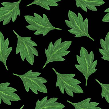 Kasımpatı Çiçeği Yapraksız Kalıp. El çizimi Siyah Arkaplan Çiçek Sayısal Kağıdı.