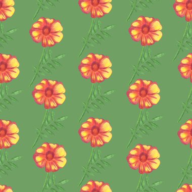 Marigold Çiçeği Kusursuz Şablon. El çizimi Yeşil Arkaplan Çiçek Sayısal Kağıdı.