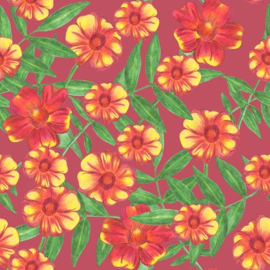 Marigold Çiçeği Kusursuz Şablon. El Çizimi Kırmızı Arkaplanda Çiçek Sayısal Kağıdı.