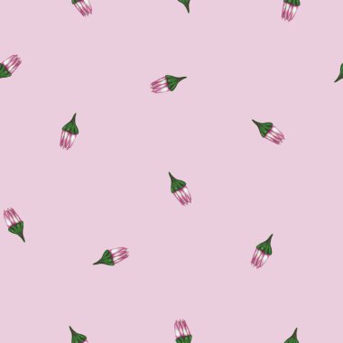Kasımpatı Çiçeği Kusursuz Desen. Açık Pembe Arkaplan Üzerine El Çizimi Çiçek Dijital Kağıdı.