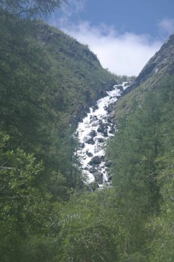 Dağ nehri, mavi gökyüzünün altında beyaz bulutlu yoğun kozalaklı ormanlarla dolu bir vadi boyunca akar. Nehir ön planda, orman arka planda..
