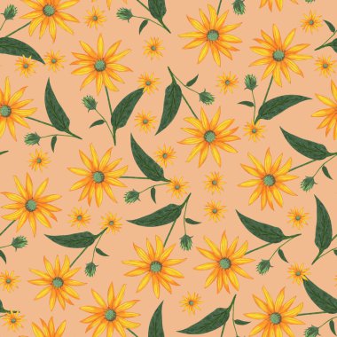 Topinambur Çiçeksiz Düzen. Pembe Arkaplanda El Çizimi Çiçek Sayısal Kağıdı.