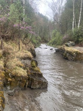 Nehir yemyeşil bir vadiden akıyor, kayaların üzerinden çağlayarak geçiyor. Bulutlu bir gökyüzünün altında canlı yeşil ağaçlarla sıralanmış. Yüksek açılı manzara nehir manzarasının dingin güzelliğini yakalıyor..