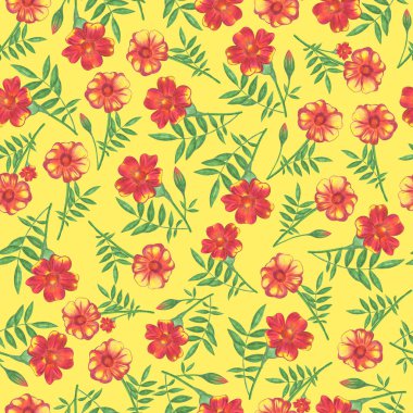 Marigold Çiçeği Kusursuz Şablon. El Çizimi Sarı Arkaplan Çiçek Sayısal Kağıdı.