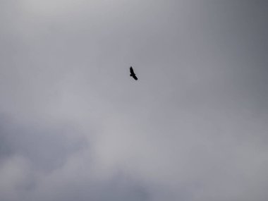 Gökyüzündeki bulutlarda beyaz uçurtma