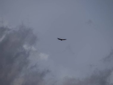 Gökyüzünde uçan uçak