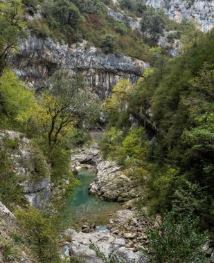Yazın dağlarda ormanın içinden akan güzel bir nehir görüntüsü..