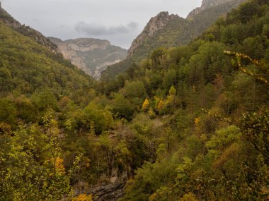 Ağaçlar ve dağlarla dolu güzel sonbahar manzarası
