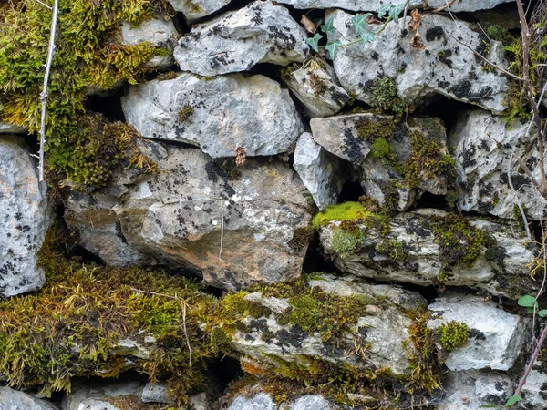 Kamenná Zeď Textura Pozadí — Stock fotografie