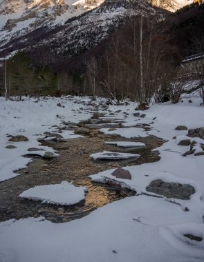 Taze kar yağışlı güzel bir kış manzarası. Köknar ağaçları, mavi gökyüzü, güneş ışığı ve yüksek dağlarla kaplı arka plan ağaçlarla kaplı güzel kış manzarası.