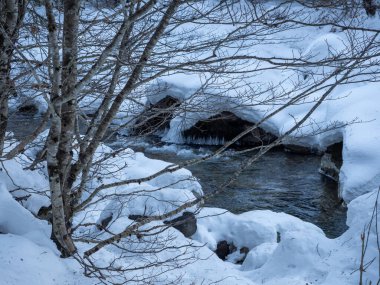 Karla kaplı ağaçlarla kaplı kış manzarası