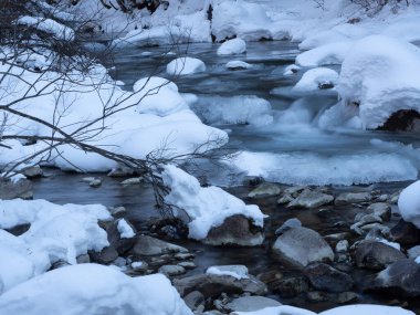 Ormandaki güzel nehir