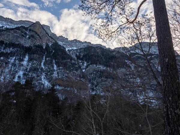 Prachtig Landschap Met Sneeuw Bomen — Stockfoto