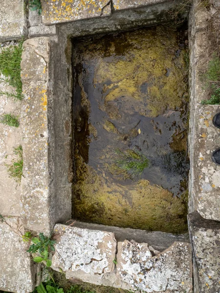Viejo Muro Piedra Con Hojas Verdes Musgo —  Fotos de Stock