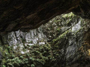 Cueva de Las Gixas, Villana, Pyrenees, Huesca, Aragon, İspanya. Villanua 'da ziyaret edilebilecek bir mağara.
