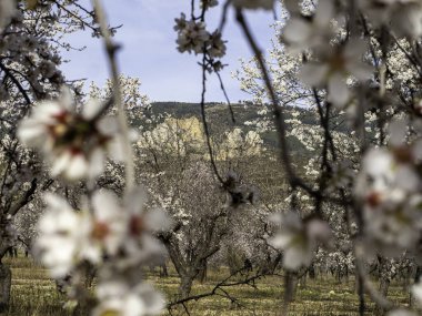 Loarre Castle Romanesque ortaçağ Roma savunma kalesi Huesca Aragon İspanya İspanya 'nın en iyi korunmuş ortaçağ kalelerinden biri
