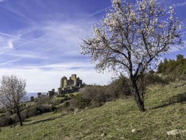 Loarre Castle Romanesque ortaçağ Roma savunma kalesi Huesca Aragon İspanya İspanya 'nın en iyi korunmuş ortaçağ kalelerinden biri