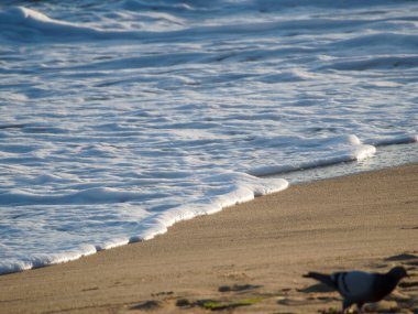 Sahildeki deniz dalgaları