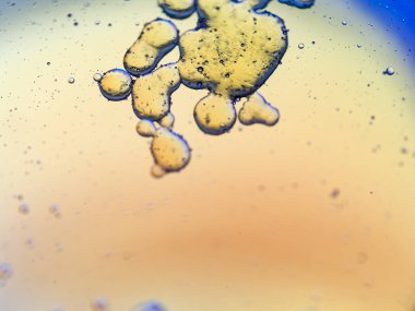 Bardakta bir damla yağ.