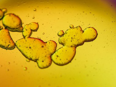 Suyun içinde sarı ve yeşil sıvı