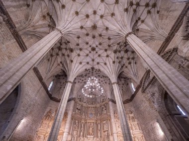 Barbastro Katedrali. SOMONTANO Katedrali 'nin Röportajcısı