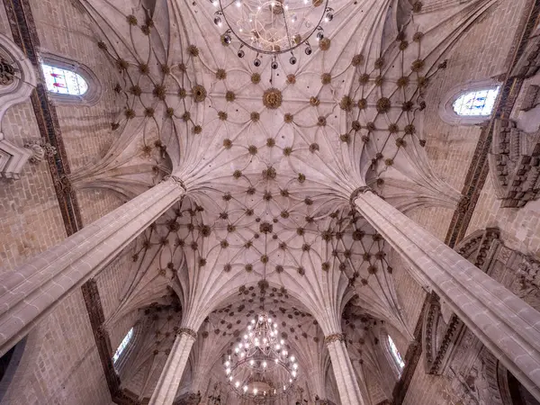 stock image CATHEDRAL of barbastro. INTERIOR OF THE SOMONTANO CATHEDRAL