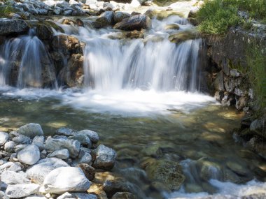 Deresi olan bir şelale