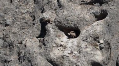 Doğanın güzel manzarası