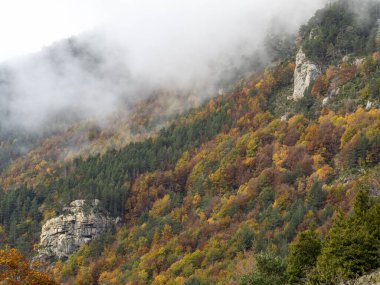 Dağlarda sonbahar, renkli yapraklar ve dağlarda ağaçlar